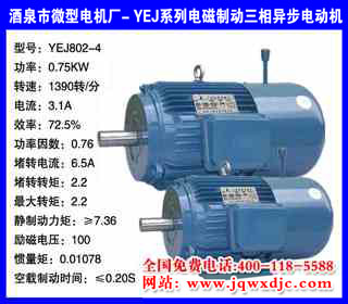 0.75KW �ļ� YEJϵ�е���ƶ�����綯�� YEJ802-4